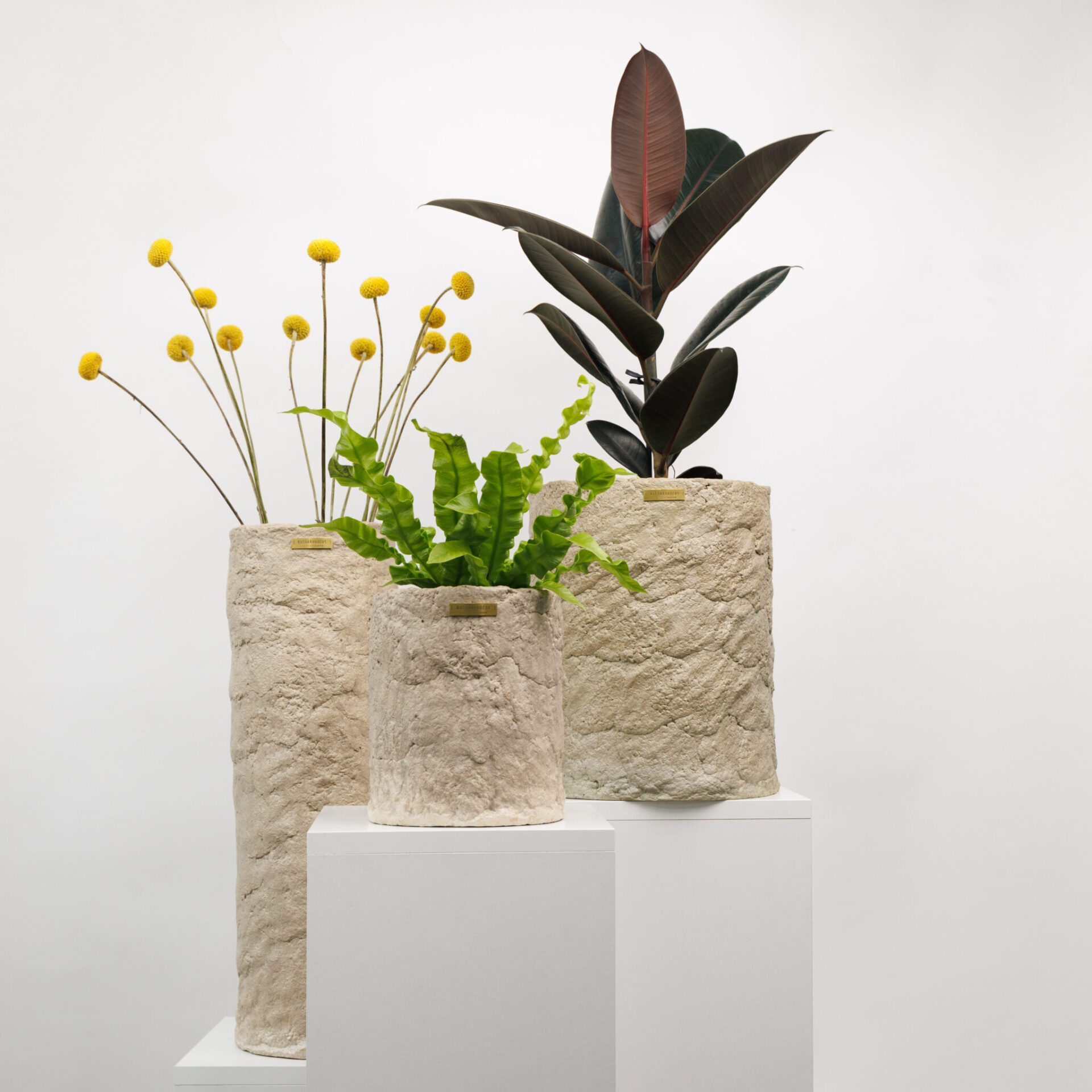 Materijalna kultura i održivost: Intervju s Lanom Đud, vlasnicom umjetničkog rasadnika Diši na nos