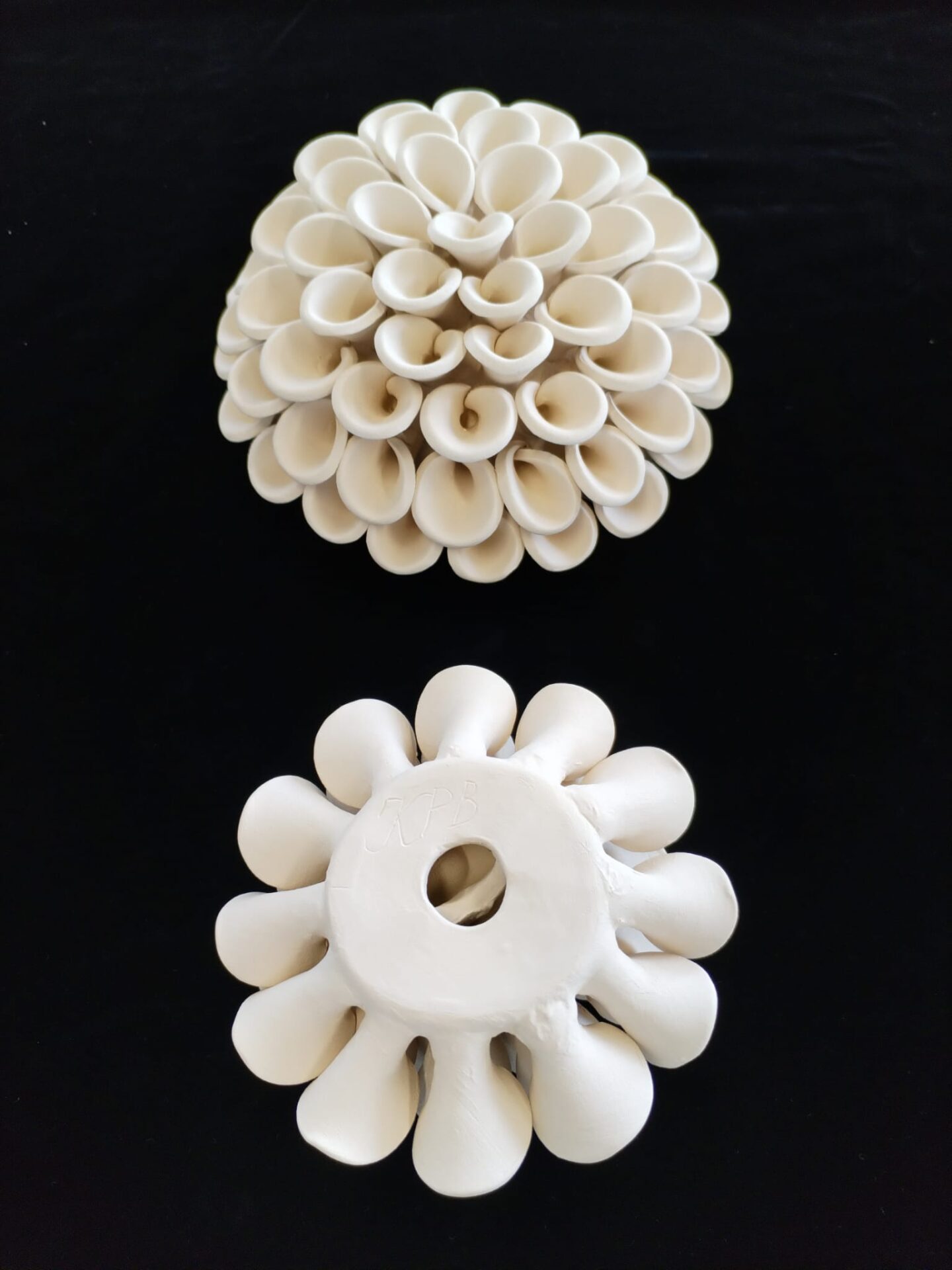 Dalija cijet za zid, dekoracija