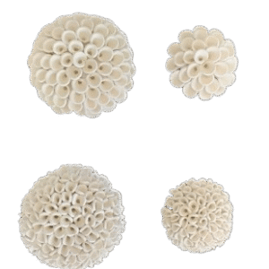 Cvijeće zidna dekoracija 8