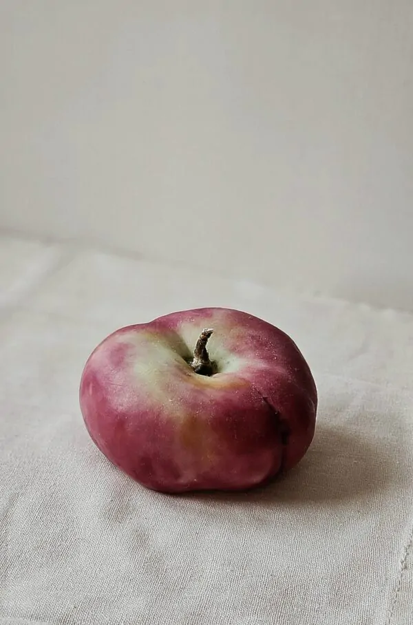 Solar Peach