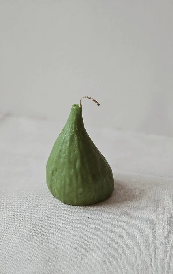 Fig & Tide