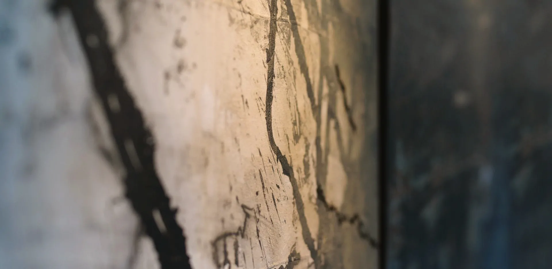 Studio Aeterra